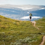 Arctic circle race